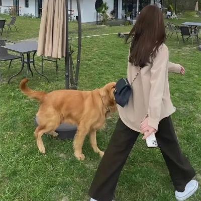 爱琳