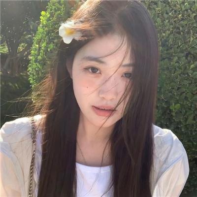 王朝的陷落