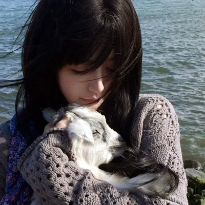澳门奇妙游